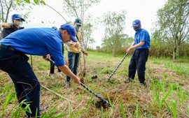 Trồng và bảo vệ rừng: Tiền đề để phát triển bền vững