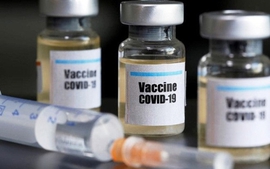 Việt Nam mong muốn các quốc gia chia sẻ thông tin miễn trừ bản quyền vaccine COVID-19