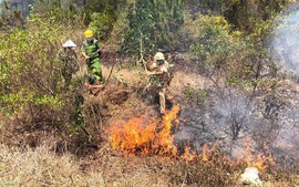 Các tỉnh miền Trung tăng cường các biện pháp phòng chống cháy rừng 