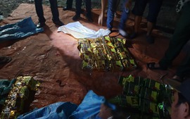 Phát hiện 50 kg ma tuý giấu trong thùng lươn sống từ Campuchia về Việt Nam