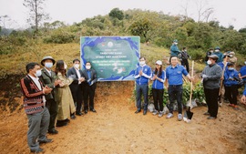 PV GAS Trading đồng hành cùng chương trình ‘Triệu cây xanh - vì một Việt Nam xanh’