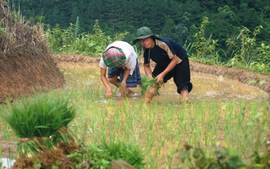 Thay nếp nghĩ, đổi cuộc đời