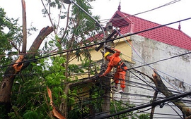 Bão số 14 gây thiệt hại cho lưới điện một số tỉnh Bắc Bộ