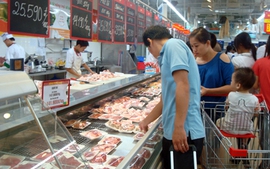 Cần cân nhắc về tái cơ cấu đàn trong chăn nuôi