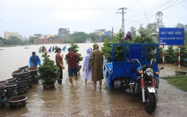Khả năng xuất hiện mưa, lũ lớn từ Thừa Thiên Huế đến Khánh Hòa