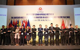Thúc đẩy thương mại về nông, lâm, thủy sản giữa các nước ASEAN+3