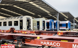 Sớm nâng tốc độ chạy tàu lên 100 km/giờ