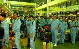Đại bộ phận lao động Việt Nam lại Lybia vẫn an toàn