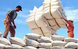 Đã xuất khẩu hơn 4 triệu tấn gạo
