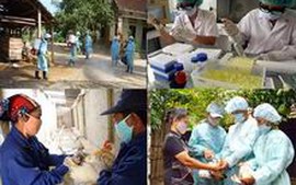 Xây dựng Kế hoạch quốc gia phòng chống dịch cúm gia cầm 2014-2018