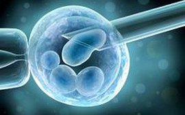 Đề xuất quy định mới về thụ tinh trong ống nghiệm, mang thai hộ