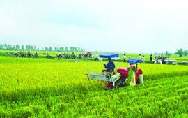 Nhiều ưu đãi về đất cho hợp tác xã nông nghiệp