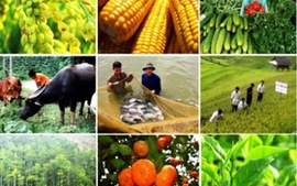 Đề xuất điều kiện đầu tư kinh doanh 8 lĩnh vực ngành Nông nghiệp