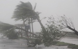 Thủ tướng ra công điện chỉ đạo ứng phó khẩn cấp bão số 14 và mưa lũ