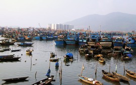 Đà Nẵng: Nhiều hỗ trợ giúp ngư dân vươn khơi