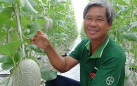 Lão nông thành công lớn với mô hình đa canh công nghệ cao