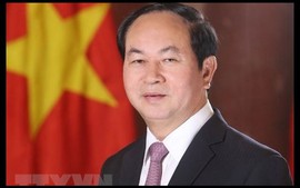 Lãnh đạo các nước chia buồn với Đảng, Nhà nước và nhân dân Việt Nam
