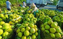 'Giấy thông hành' để gia nhập đội ngũ doanh nhân thế giới