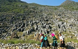 Quy hoạch xây dựng Công viên địa chất toàn cầu Cao nguyên đá Đồng Văn
