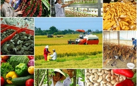 Thủ tướng phê duyệt kế hoạch cơ cấu lại ngành nông nghiệp