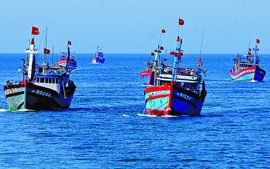 Cho ý kiến về quy định cho thuê khu vực biển để nuôi trồng thủy sản