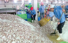 DN chế biến bột cá kêu khó vì thuế nhập khẩu