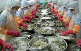 DN nhập khẩu hải sản có phải lập đề án bảo vệ môi trường?