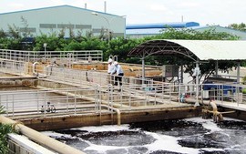 Bùn thải từ nhà máy chế biến thủy sản có nguy hại không?