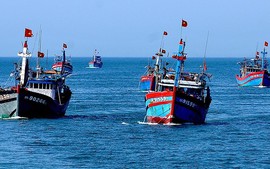 Mức hỗ trợ ngư dân mua bảo hiểm tàu cá