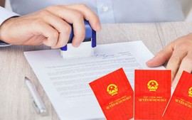 Hộ gia đình được cấp đất tái định cư, sổ đỏ ghi tên ai?