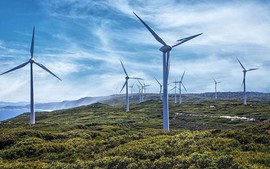 Dự án điện gió có được miễn thủ tục đăng ký môi trường?