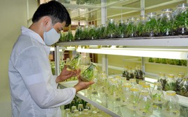 Ông Lê Thanh Phú không thuộc diện được hỗ trợ tại Bạc Liêu