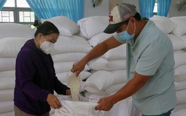 Những trường hợp nào tại Phú Yên được hỗ trợ gạo?