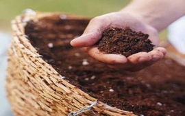 Đất sạch có được coi là một loại phân bón?