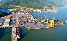 Phó Thủ tướng yêu cầu làm rõ hành vi buôn lậu của Công ty Phú Đức