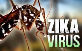 Đại diện WHO tại Việt Nam nói về mối liên hệ giữa virus Zika và bệnh đầu nhỏ