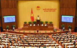 Quốc hội bầu Chủ tịch nước, thảo luận cơ cấu tổ chức của Chính phủ