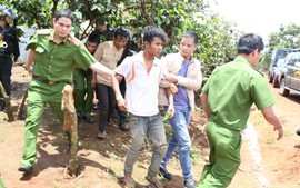 Lâm Đồng: Khởi tố vụ án truy sát cán bộ quản lý bảo vệ rừng