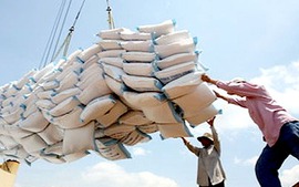 Philippines sẽ mua thêm hơn 293.000 tấn gạo từ Việt Nam