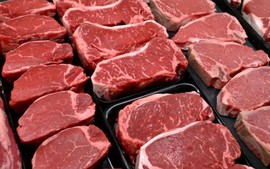 Tăng cường kiểm soát nhập khẩu thịt từ Brazil