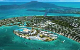 Đà Nẵng: Đình chỉ dự án siêu đô thị lấn biển