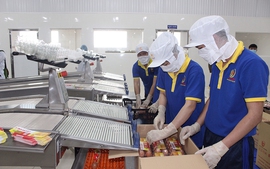 VCB cho vay nhiều dự án nông nghiệp công nghệ cao