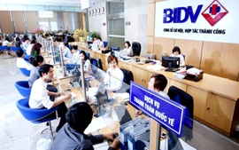 Tổng tài sản BIDV tăng thêm 20.000 tỷ đồng