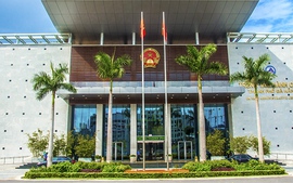 Kỷ luật cảnh cáo Ban Thường vụ Thành ủy Đà Nẵng