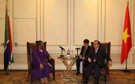 Phó Thủ tướng Hoàng Trung Hải thăm chính thức Nam Phi
