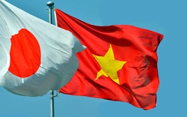 Quan hệ Việt Nam-Nhật Bản: Những bước phát triển vượt bậc