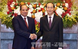 Chủ tịch nước Trần Đại Quang hội đàm với Tổng thống Ai Cập