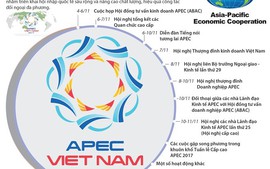 [Infographic] Những hoạt động chính trong Tuần lễ Cấp cao APEC 2017
