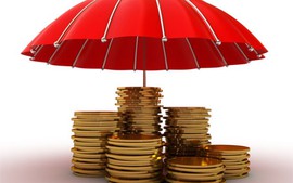 Giảm 'gánh nặng' báo cáo cho các tổ chức tham gia bảo hiểm tiền gửi