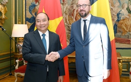 Thủ tướng Nguyễn Xuân Phúc hội đàm với Thủ tướng Bỉ